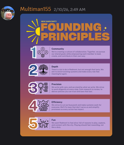 NDP Principles.png