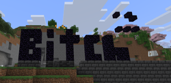 Rude griefers build the B word out of obsidian.png