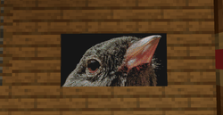 Ko Junco.png