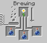 Daisy Extract Brewing
