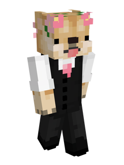 Sir Dogeington standing.png
