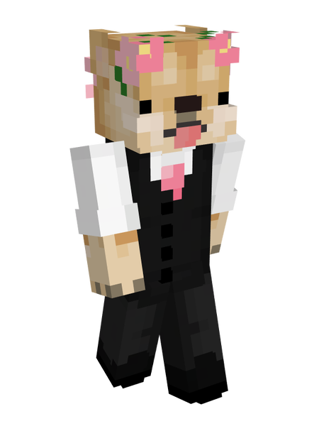 File:Sir Dogeington standing.png