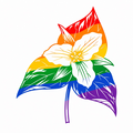 The Progressive Conservative Party